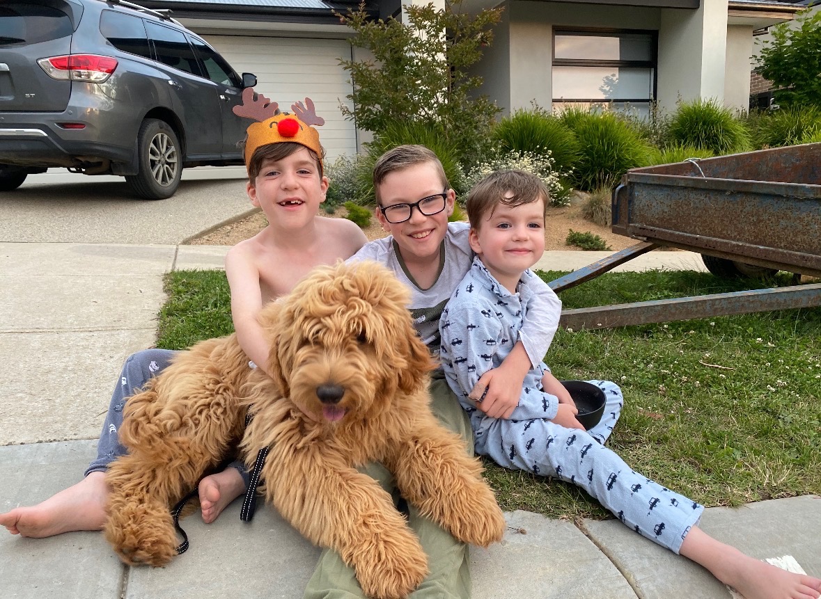 A family relaxing on the couch with their guardian Groodle